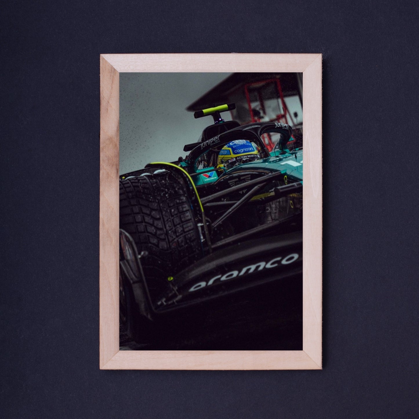 Fernando Alonso - Canvas Print